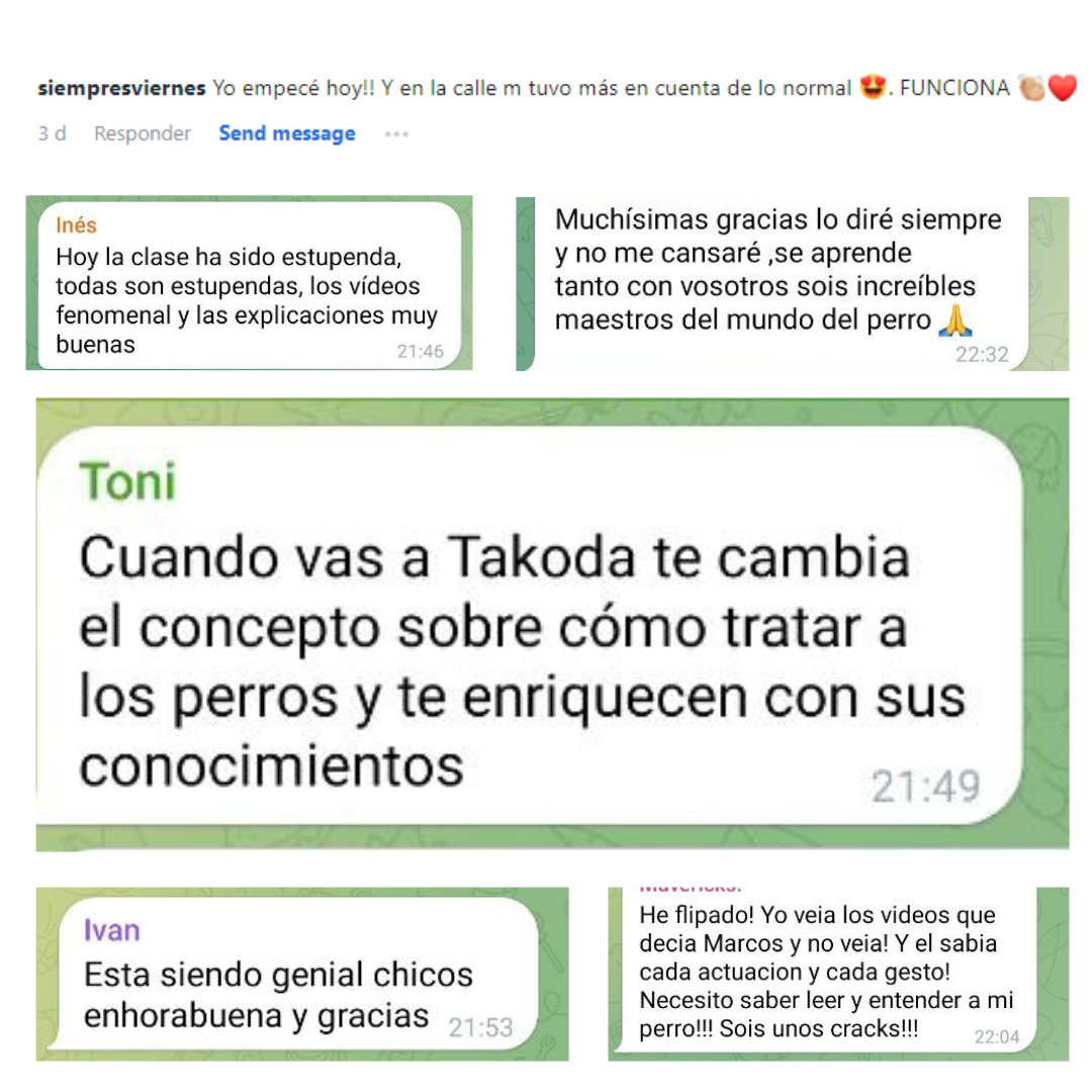 Curso Conexión Testimonios